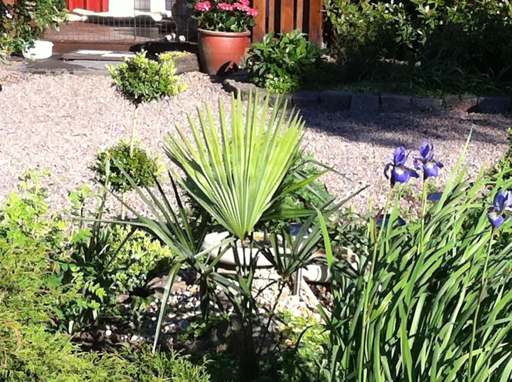 Mattisgarden Bed & Breakfast Östra Ljungby Dış mekan fotoğraf