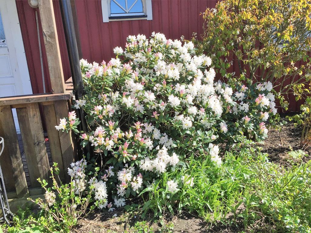 Mattisgarden Bed & Breakfast Östra Ljungby Dış mekan fotoğraf