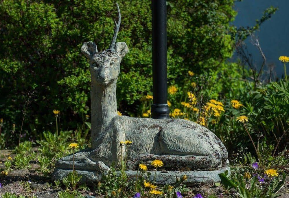Mattisgarden Bed & Breakfast Östra Ljungby Dış mekan fotoğraf